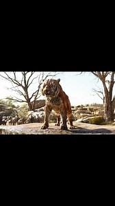 807K views · 39K reactions | The Jungle Book full movie ❤️‍ comment Next part ❤️ #Facebookpage #tending #viral #animationmovie #TheJungleBook #movie #Everyone #needsupport #thisismy #everyone #needsupport #everyone #please #followmypage #likemypage #likemyvideos #everyone #Ineedsupport #please #everytimesupportme #newpage #fastvideo #thejunglebook #partvideo #everyone #pleasesupportme | APON BRO 2.0 | Facebook