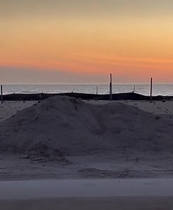 756K views · 27K reactions | Imagine you’re sitting in traffic on Fort Myers Beach, then you look over at the sunset and you see a bunch of dolphins jumping out of the water! It almost makes the traffic worth it!  Mitchell Feick | Peter Busch | Facebook
