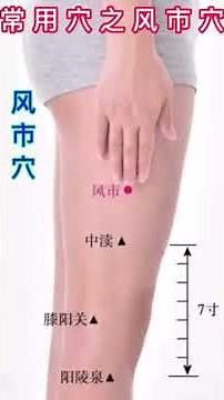 Fengshi point (Fengshi acupoint) is a commonly used acupoint. #health #wellness #traditionalChine...