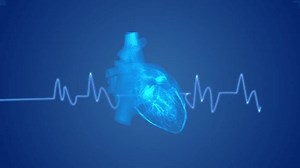Human heart with a cardiogram line
