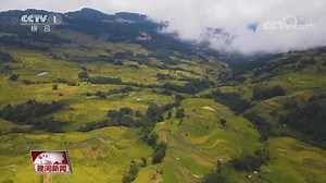 [视频]【中国这十年】我国生态环保取得历史性成就