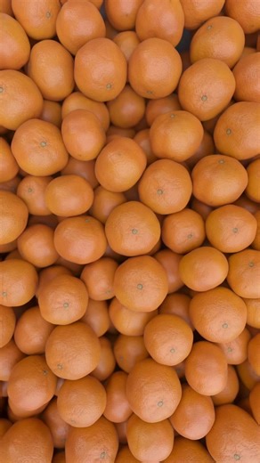 Khóa học 3D Product tại PHIHO Training