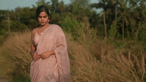 Woman Traditional Saree Walking Through Field Stock Footage Video (100% Royalty-free) 3434065989 | Shutterstock