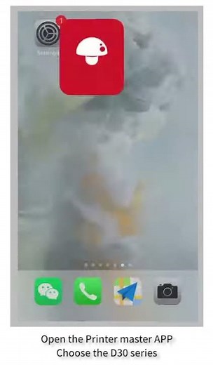 D30 printer Bluetooth connection Print master App