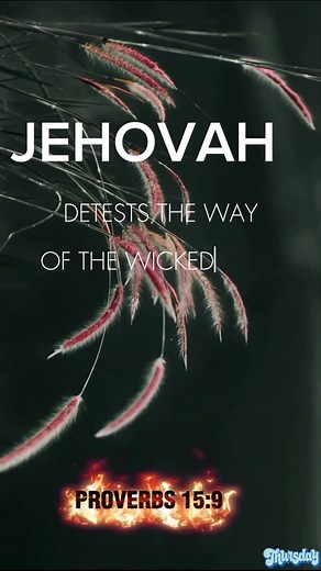 13K views · 981 reactions | Proverbs 15:9 #bibleverse #follower #highlights #everyone | Maimai Torita | Facebook