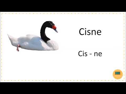 Combinaciones ce-ci - Lenguaje| 2° Básico