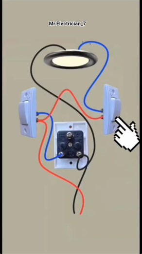1 Bulb 1 Socket Wiring Connection Diagram.💡🔌⚡#wiringdiagram#wiring#electricalindia#electrical#shorts