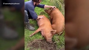 Aaron Taylor-Johnson, 34, steps out for rare outing with wife Sam, 57, and towering stepdaughters