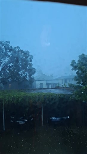 @highlight | Sharon Kim