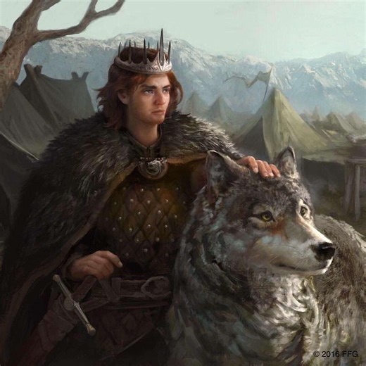 Robb Stark: The King of the North Tribute