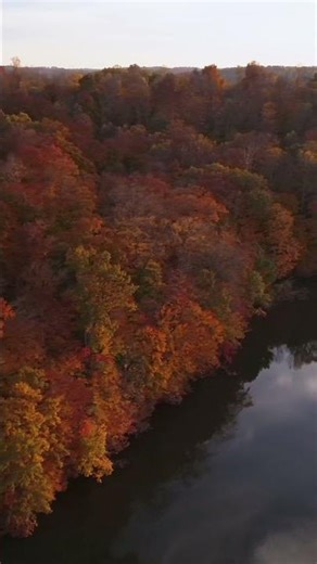 Beyond the Water: Discover Lake Logan, Ohio