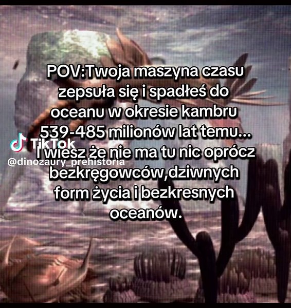 Eksplozja Kambryjska: Początki Życia Morskiego