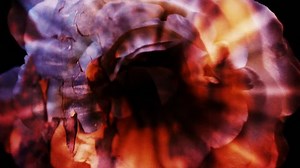 Looping Motion Design Stock Footage Video (100% Royalty-free) 263341 | Shutterstock