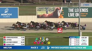4.8K views · 117 reactions | A confident win in the Prydes Easifeed Mares Pace for The Bride, showing her class with a smooth performance for driver-trainer Alex Ashwood. | Harness Racing Victoria | Facebook