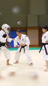 Training Shorinji Kempo #shorinjikempo #martialarts #training #selfdefense #japan #sensei | Shorinji Kempo 少林寺拳法