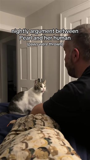 The cat is very dissatisfied with its owner.🐱😂😂#cat #tiktok #funnycat #Cats #fyp