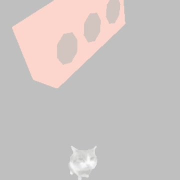 Random thing #cat #parry #pizzatower #pizza #tower #meme