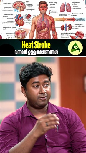 Heat Stroke വന്നാൽ ഉള്ള ലക്ഷണങ്ങൾ #heatstroke #summersafety #heatwave #healthtips #sunstroke