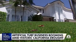 New, improved artificial grass booms amid California drought - The Global Herald