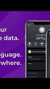 Salesforce AI Telephony: Talk to Your CRM by Phone (Demo)