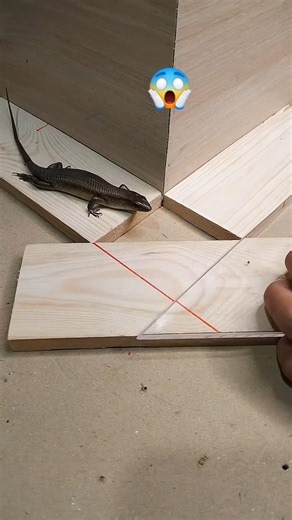 How to measure the position of wooden corner#diy #woodworking #working #tips #ideas #carpentry #art