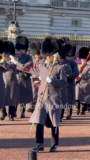 Band of the Irish Guards marching back to Wellington Barracks #sundayparade #marchingband #londonreels #londonlife | Miss D in London