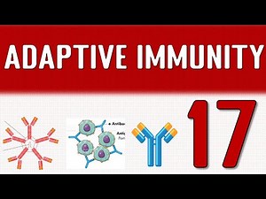 LECTURE 17 : Adaptive immunity