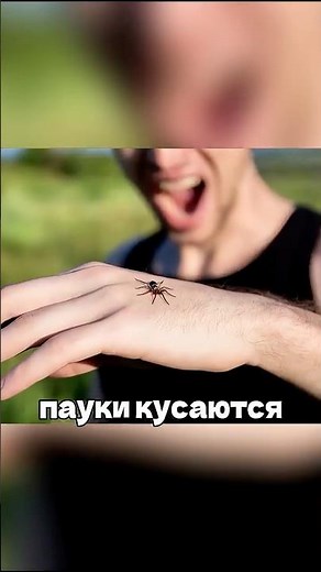 Секретная паучья пещера🕷️