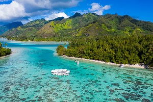 Ma’a Tahiti on The Motu | SocietyIslands.com