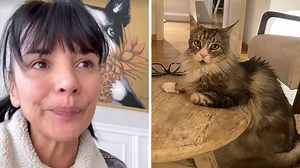 "Je suis triste et inquiète": Maria Del Rio bouleversée par la disparition de son chat, possiblement enlevé