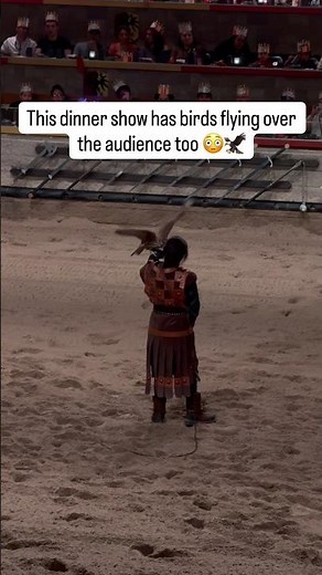 This Dinner Show Has Birds Flying Over the Audience 😳🦅