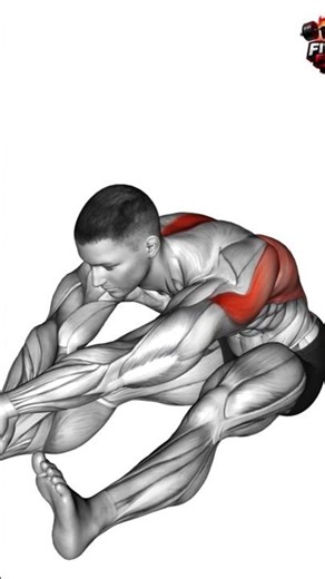 Stretching - Sitting Bent Over Back Stretch #workout #strongabs #motivation #advancedabworkout