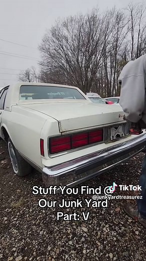 Exploring Unique Finds at the Junk Yard