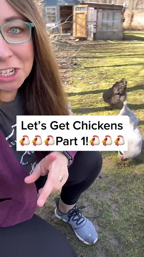 Let’s Get Chickens! Part 1