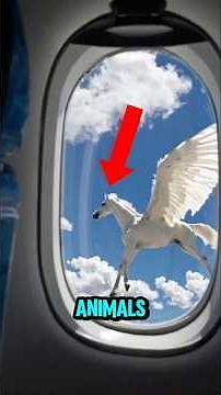 TOP 5 RAREST ANIMALS THAT ALMOST WENT EXTINCT IN THE WORLD🤔😨