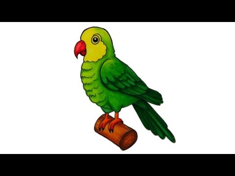Easy Parrot Drawing and Coloring | Step-by-Step Bird Art for Kids