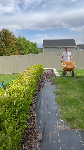 Im building the ultimate ant farm #diy #ants #antfarm