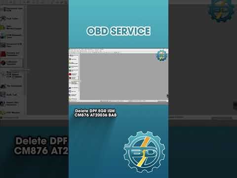 Delete DPF EGR ISM CM876 AT20036 BAB | OBDService