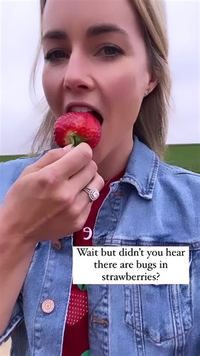 Exploring the Truth About Bugs on Strawberries