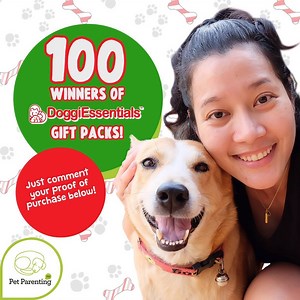 29K views · 1.3K reactions | Have you joined our giveaway promo? You still have a chance to WIN pawesome DoggiEssentials goodies for your furbaby! 1. Purchase any DoggiEssentials product in-store or online. 2. Comment proof of purchase (receipt or deposit slip) on this post. 3. First 100 to comment their proof of purchase will each get a FREE DoggiEssentials gift pack! Order your DoggiEssentials haul today! PM us for more details. :) | Pet Parenting PH | Facebook