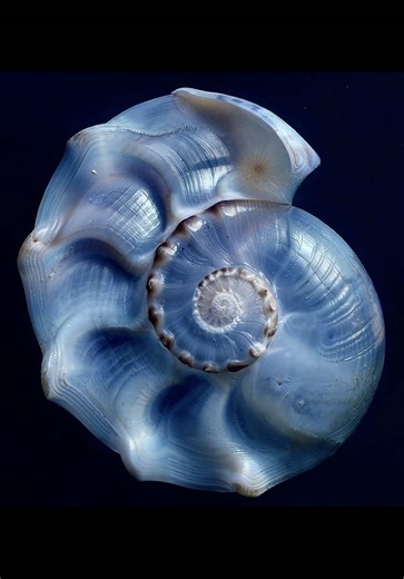 Katara from Avatar: A Character Analysis