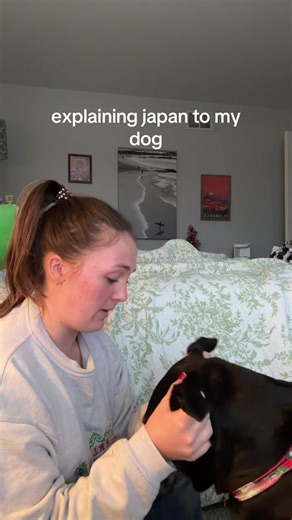 Explaining Japan to My Dog: A Fun Travel Insight