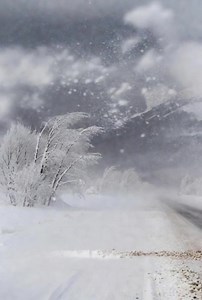 Alerta METEO. Iarna se intoarce in Romania: ANM anunta ninsori, viscol, si ger. Zonele vizate de fenomene extreme ❄️💨🌧 | Mesaje Frumoase