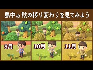 【あつ森】小ネタ検証！同じ秋でも全然違う⁉︎ 9月・10月・11月の秋の移り変わりを見てみよう【あつまれ どうぶつの森】@レウンGameTV