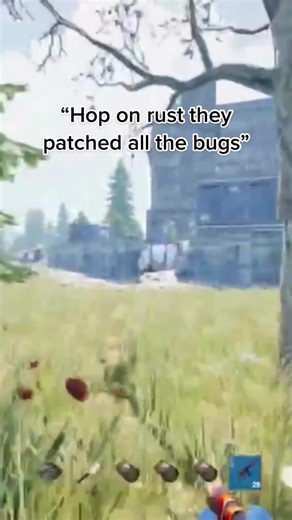Rust Game Update: Patched Bugs and Lag Fixes