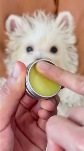 ASMR | 小白全身沉浸式SPA初体验 | 怎么会这么乖？