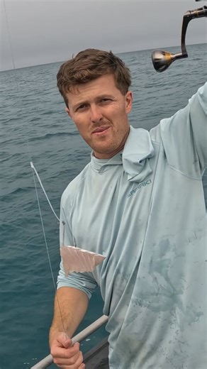 Make your own rig with Rig Mate! Did you know you can easily add accessories to any of your setups? Check it out and grab a spool today! 🎣 | Rig Mate