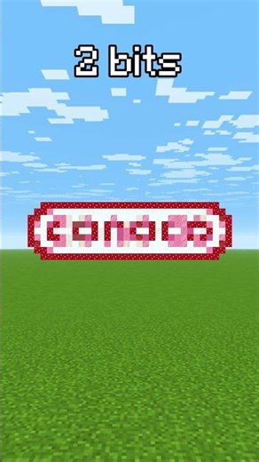 Minecraft Conoco 64 bits 32 bits 16 bits 8 bits 4 bits 2 bits 1 bit