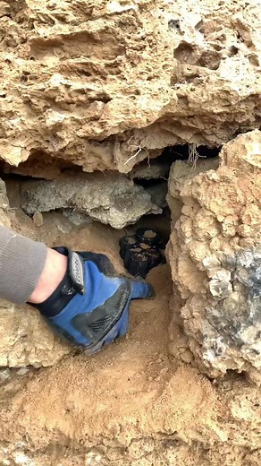 treasures found in abandoned houses #history #treasuresearch #treasurediscoveries #adventure #fbreels #reelsviralfb #reelsfypシ #reelschallenge #treasurehunter #archeology #metaldetector #histor #goldjewelry | Discover Gold