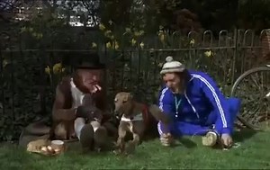 8.7K views · 206 reactions | Steptoe and Son Ride Again - The Blind Greyhound ️ | Seventies Time-Machine | Facebook